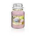 Yankee Candle 10.00115.0246 восковая свеча Другое Бергамот, Жасмин, Иланг-иланг Прозрачный, Фиолетов Yankee Candle 10.00115.0246 восковая свеча Другое Бергамот, Жасмин, Иланг-иланг Прозрачный, Фиолетов