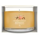 Yankee Candle 2653169E vahaküünal Ümmargune Tsitrus Läbipaistev, Kollane 1 tk Yankee Candle 2653169E vahaküünal Ümmargune Tsitrus Läbipaistev, Kollane 1 tk