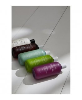 Rated Green Rated Green REAL PRUNE color protecting Shampoo 400 ml