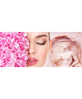 "Inika Organic Phytofuse Renew" rejuvenating serum with aloe vera and resveratrol.
