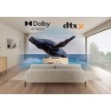 Sony HT-S2000 3.1ch Dolby Atmos Soundbar Sony HT-S2000 3.1ch Dolby Atmos Soundbar