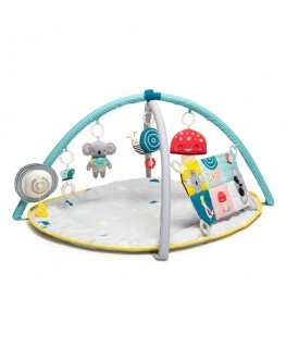Taf Toys 12435 Kangas, Plast Mitmevärviline Beebide tegevuskeskus