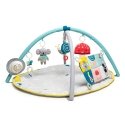 Taf Toys 12435 Kangas, Muovi Monivärinen Vauvan jumppa