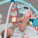 Taf Toys 12435 Fabric, Plastic Multicolour Baby gym