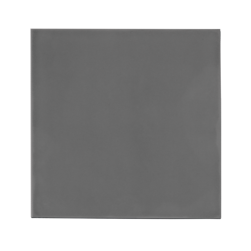Thermal Grizzly Thermal Grizzly Minus Pad