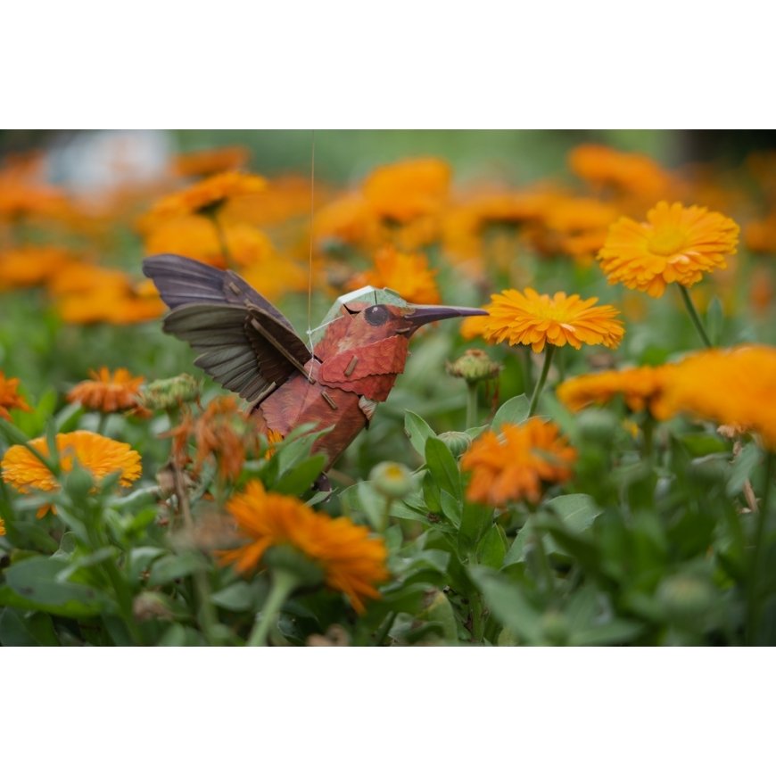 MAKEBUG 3D paberist pusle Kolibri, MB-D-0058