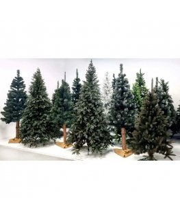 Springos CT0077 180cm