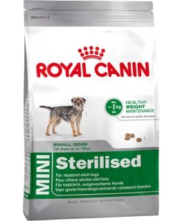 Royal Canin MINI Sterilised 8 kg Täiskasvanu