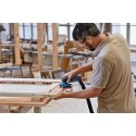 Bosch GEX 12V-125 Professional Bosch GEX 12V-125 Professional