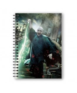 Sd Toys Harry Potter Harry vs Voldemort A5 3D vihko