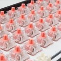 Baltoji Žuvėdra Venom Rose Mechaniniai Jungikliai 25 vnt. Baltoji Žuvėdra Venom Rose Mechaniniai Jungikliai 25 vnt.