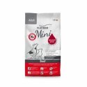 PLATINUM Pieaugušo Suņu Barība Ar Liellopa Gaļu Mini - pusmitra suņu barība - 900g PLATINUM Pieaugušo Suņu Barība Ar Liellopa Gaļu Mini - pusmitra suņu barība - 900g
