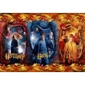 Clementoni Harry Potter Kuviopalapeli 104 kpl Televisio/Elokuvat Clementoni Harry Potter Kuviopalapeli 104 kpl Televisio/Elokuvat
