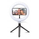 SBS TESELFIERINGCLIP valorengas LED SBS TESELFIERINGCLIP valorengas LED