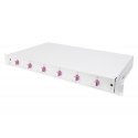 Digitus DN-96330-4 komutacinės spintos priedas Laidų tvarkymo skydas Digitus DN-96330-4 komutacinės spintos priedas Laidų tvarkymo skydas