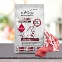 Platinum Adult Lamb + Rice 5 kg Pieaudzis suns Jēra gaļa, Rīsi Platinum Adult Lamb + Rice 5 kg Pieaudzis suns Jēra gaļa, Rīsi
