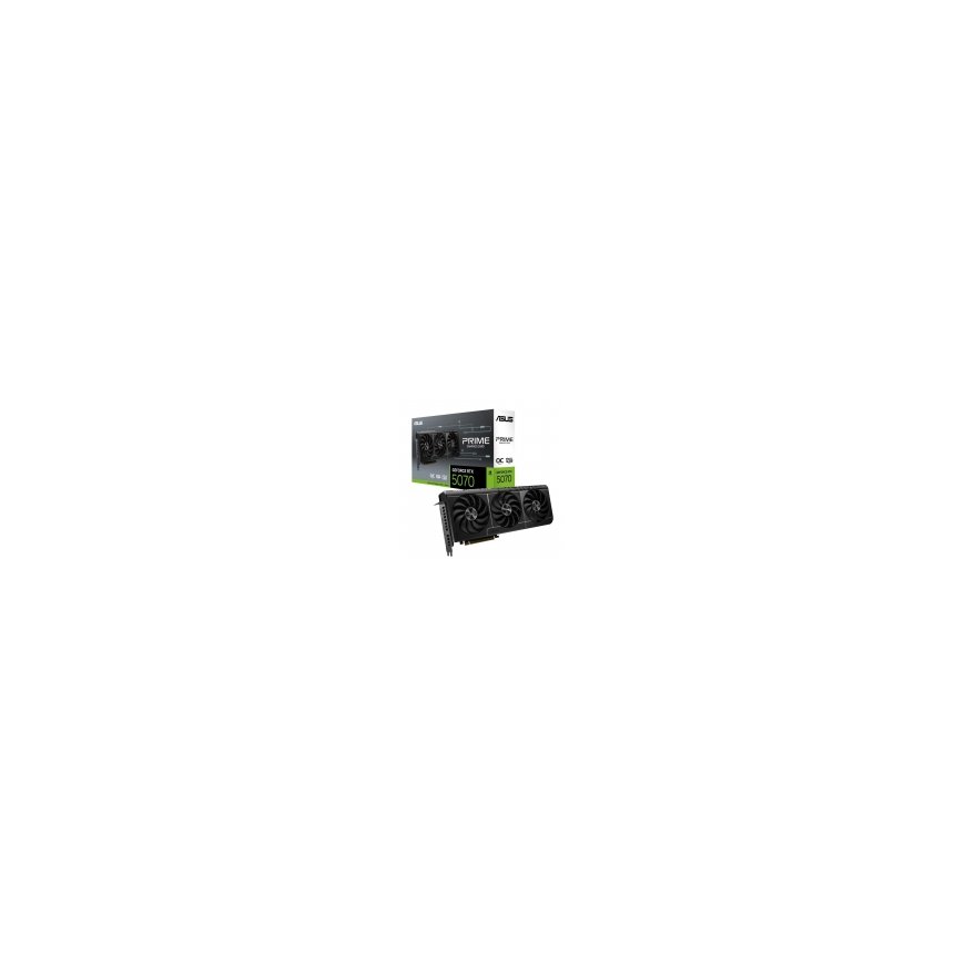 Nvidia Grafiskā karte NVIDIA RTX PRO