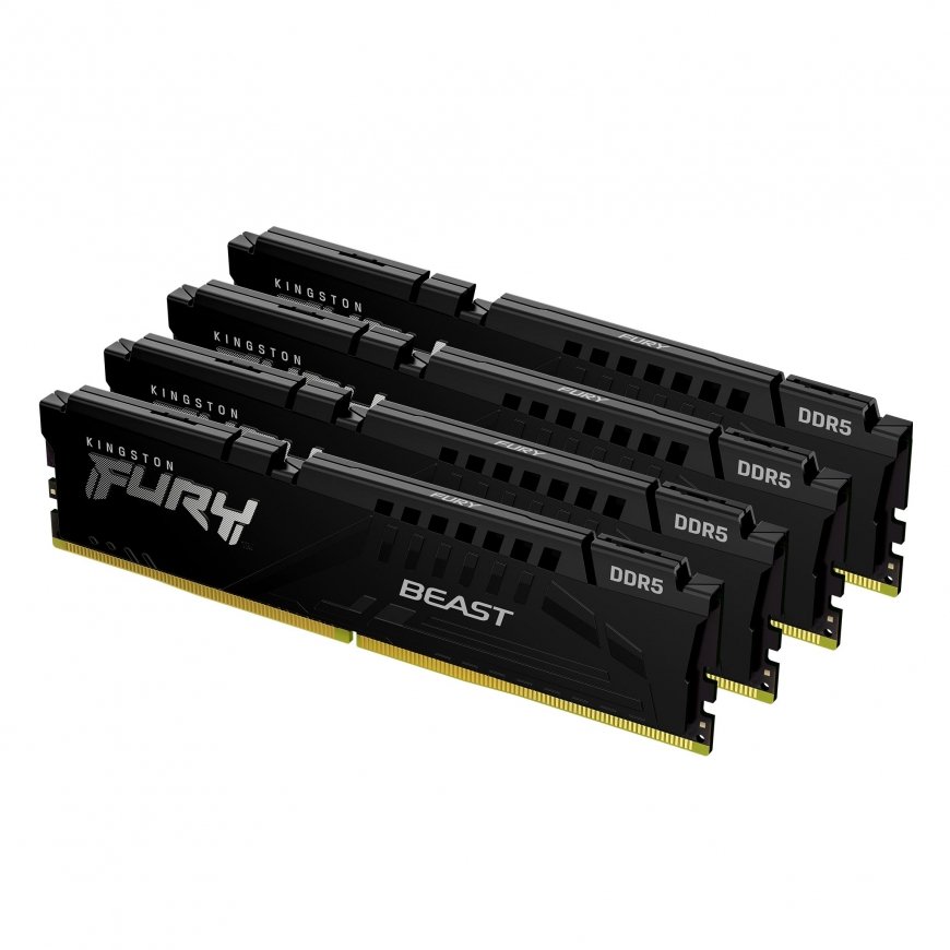 Kingston Technology Kingston Technology FURY Beast