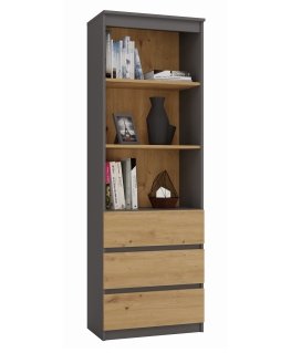 Topeshop RS-60 ANT/ART KPL biroja grāmatu skapis