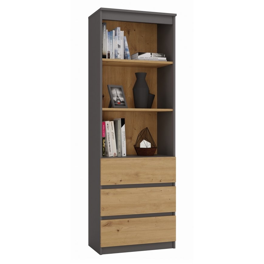 Topeshop RS-60 ANT/ART KPL biroja grāmatu