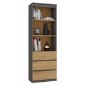 Topeshop RS-60 ANT/ART KPL office bookcase Topeshop RS-60 ANT/ART KPL office bookcase