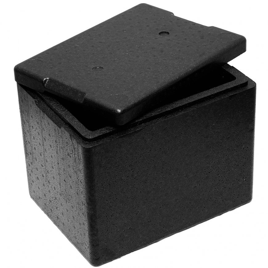 Arpack Termobox termo dėžė su dangteliu maistui ir vaistams 395x295x320mm 20L