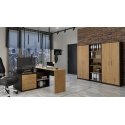 Topeshop OLIV 2D ANT/ART KPL офисный книжный шкаф Topeshop OLIV 2D ANT/ART KPL офисный книжный шкаф