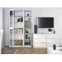 Topeshop W40 PAFOS BIA витрина Белый