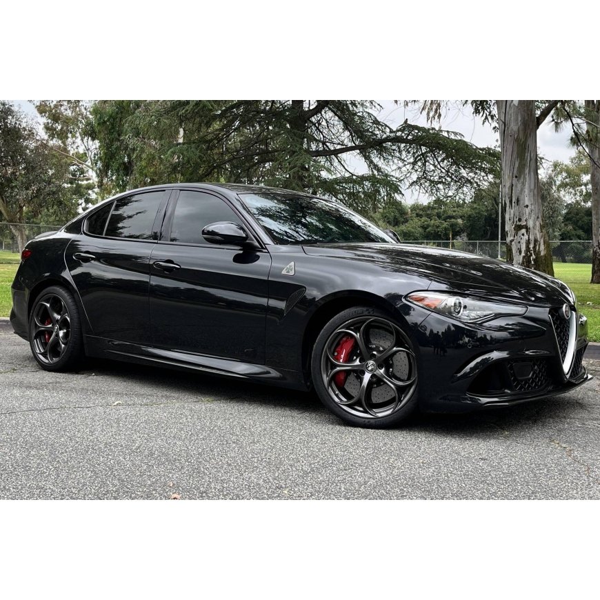 Alfa Romeo Musta