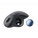 Logitech 910-006221 pele Birojs Labā roka Bluetooth sistēma Kursorbumba 2000 DPI Logitech 910-006221 pele Birojs Labā roka Bluetooth sistēma Kursorbumba 2000 DPI