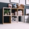 Topeshop MALAX 2X3 SONOMA elutoa raamaturiiul Topeshop MALAX 2X3 SONOMA elutoa raamaturiiul