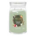 Yankee Candle 2653158E восковая свеча Круглый Зеленый, Прозрачный 1 шт Yankee Candle 2653158E восковая свеча Круглый Зеленый, Прозрачный 1 шт