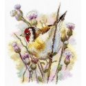 Beldizart ristikkotikkaussetti "Tykojantis Dagilis" 18*19 cm SNV-921 Beldizart ristikkotikkaussetti "Tykojantis Dagilis" 18*19 cm SNV-921