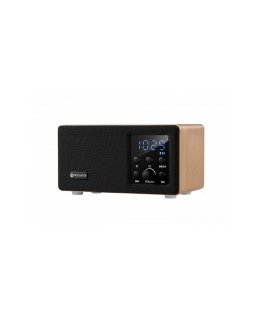 ProCaster Fusion FM-радио с Bluetooth-соединением