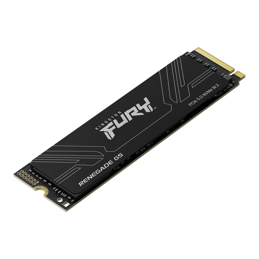 Kingston Technology FURY Renegade G5 8 TB M.2 PCI Express 5.0 NVMe 3D TLC – 3