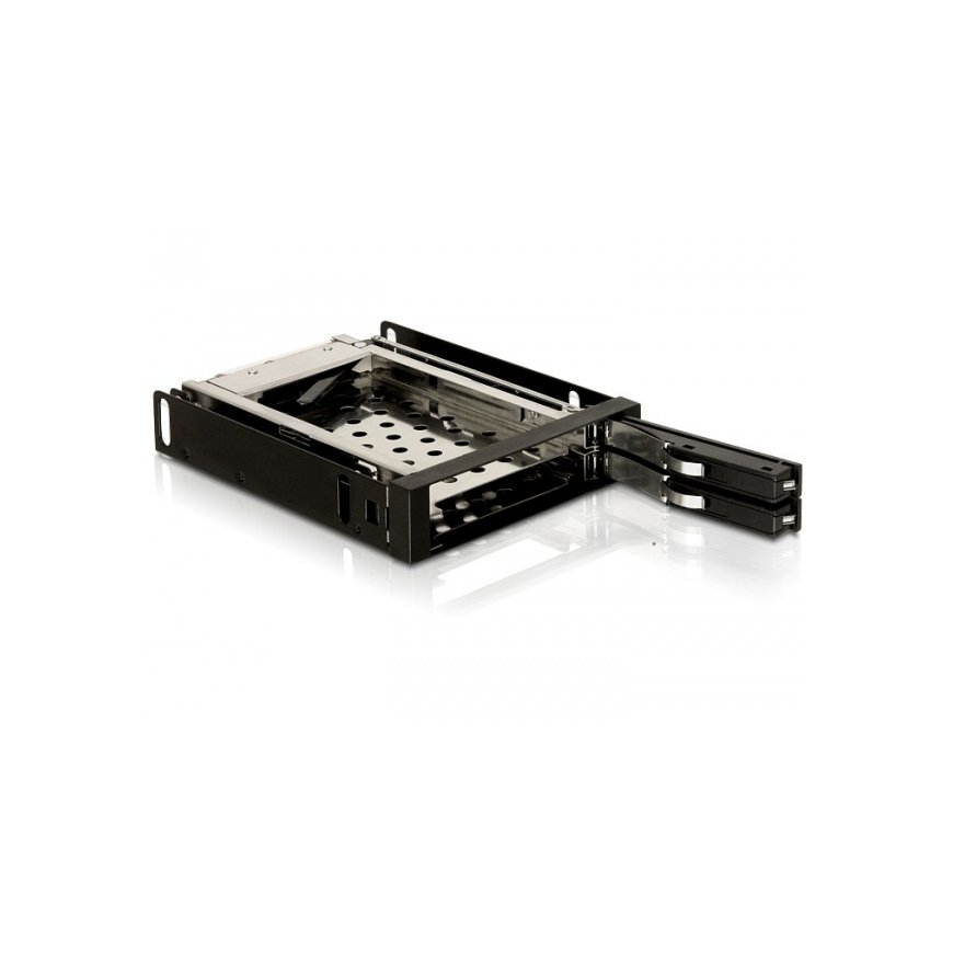 DeLOCK 3.5" Mobile Rack Melns
