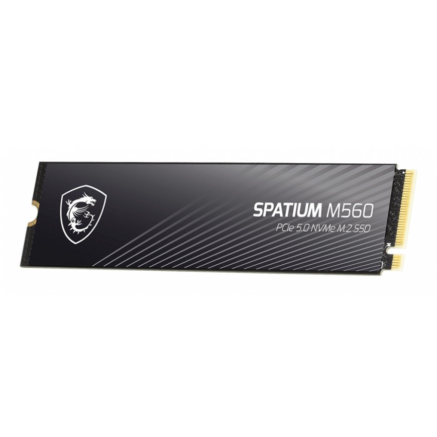 MSI Spatium M560 PCIE 5.0