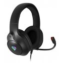 GENESIS NEON 213