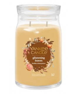 Yankee Candle 2653162E wax candle Round Citrus Transparent, Yellow 1 pc(s)