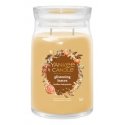 Yankee Candle 2653162E vaska svece Apaļš Citrusa Caurspīdīgs, Dzeltens 1 pcs Yankee Candle 2653162E vaska svece Apaļš Citrusa Caurspīdīgs, Dzeltens 1 pcs