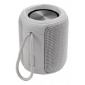 Streetz CM766 portable/party speaker Stereo portable speaker Grey 10 W