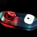 Repti Planet 007-43308 rāpuļu siltuma lampa 150 W 1 pcs