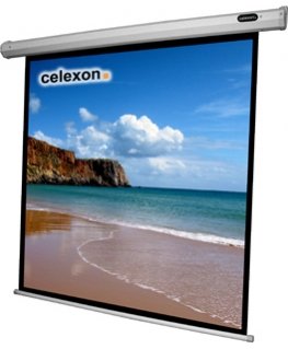 Celexon 1090068 projection screen 1:1
