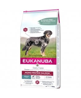 Sausa barība suņiem - Eukanuba Senior Large Breed vistas gaļa, 15 kg