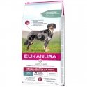 Sausas maistas šunims - Eukanuba Senior Large Breed vištiena, 15 kg Sausas maistas šunims - Eukanuba Senior Large Breed vištiena, 15 kg