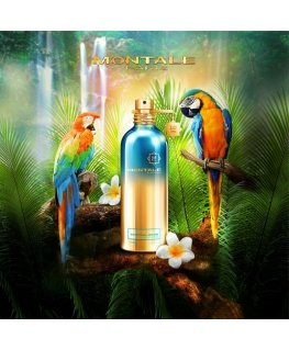 Montale Paris Tropical Wood Eau de Parfum Spray 100ml