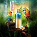 Montale Paris Tropical Wood parfüümvesi sprei 100ml