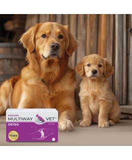 JM SANTE Multiway Vet Duocaps Ulga Max - atsukamiami kapsulės, skirtos sumažinti stresą ir diskomfortą šunims ir katėms - 60 vnt