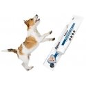 APTUS RECOBOOSTER Dog Nutrition and Appetite Dog 100g