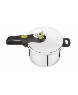 Tefal YS22Q25 6 L Черный, Нержавеющая сталь
